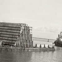 hr-dpnscmp_tugsealion20051027115533