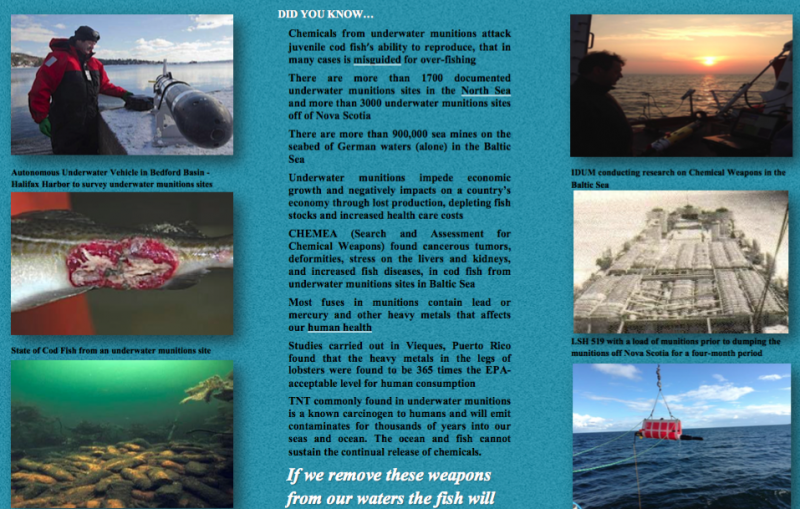 IDUM Flyer